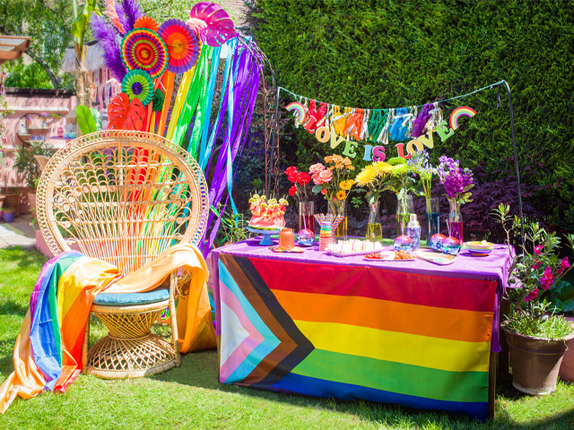 wayfair pride decorations