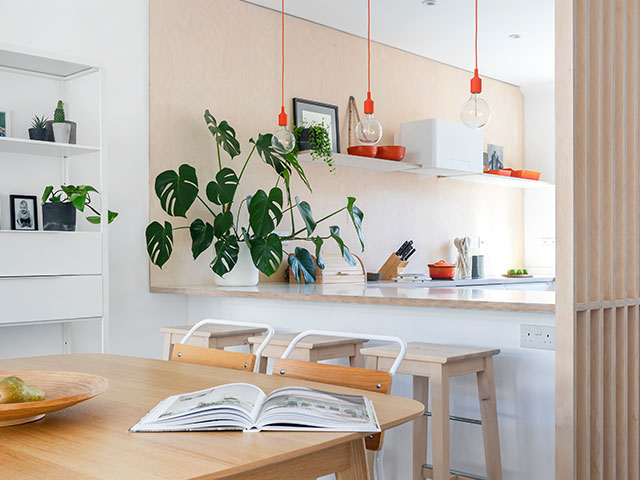 concrete flooring, birch ply, kitchen