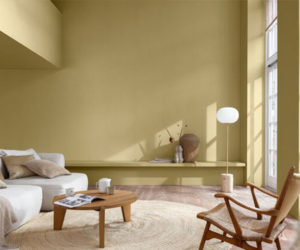 Living room painted in Wild Wonder, a yellowy chartreuse that is Dulux Colour of the Year 2023 