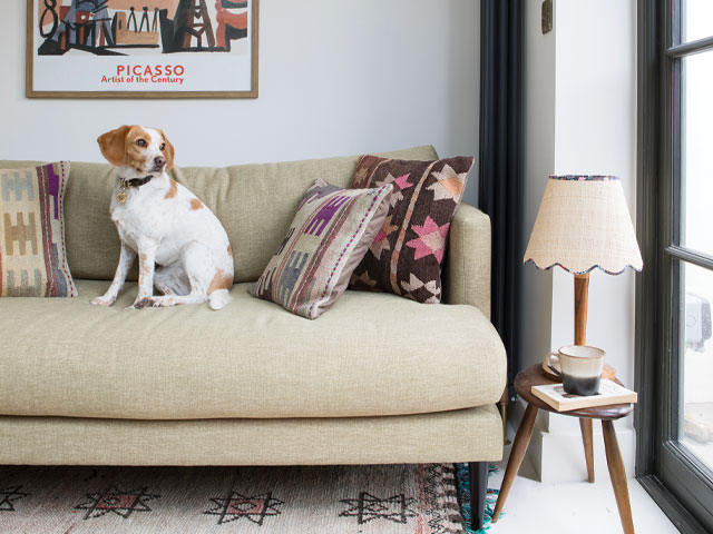 dog sitting on a sofa in a dining room snug with muted colours in soft furnishings 