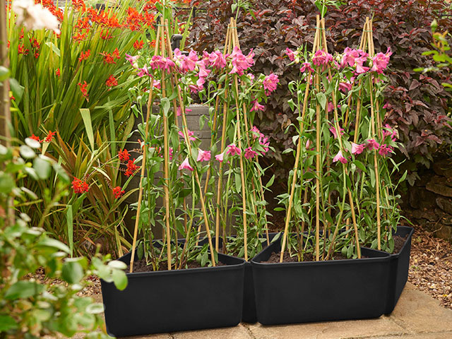 These pots have a built in watering system to help you maintain your growing