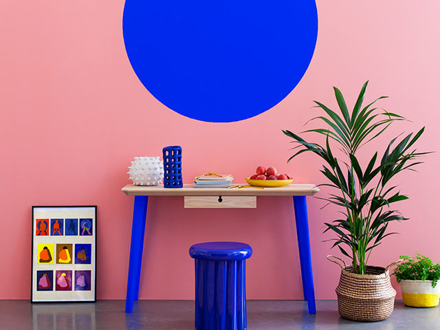 Electric blue and calming peach wall desk with plant and eclectic frame