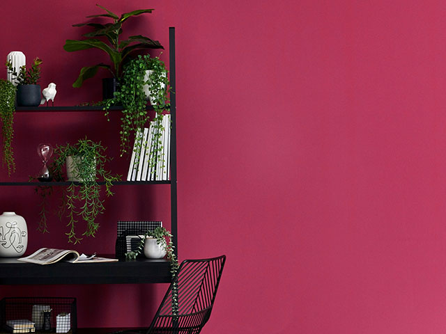 peony pink coloured scheme