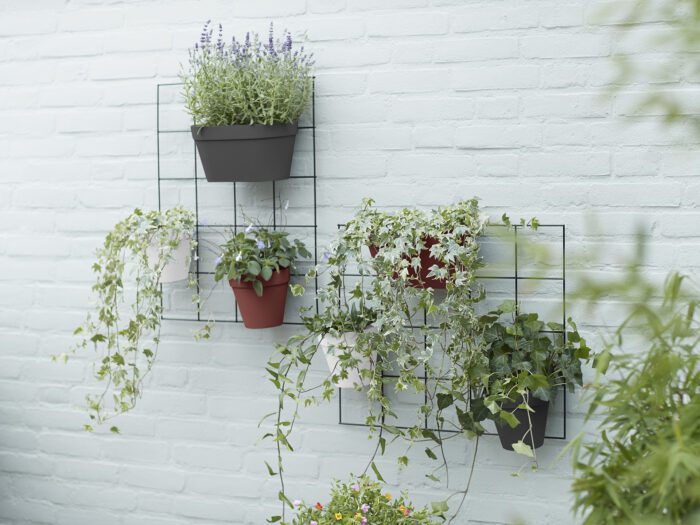 planters hanging on a wall