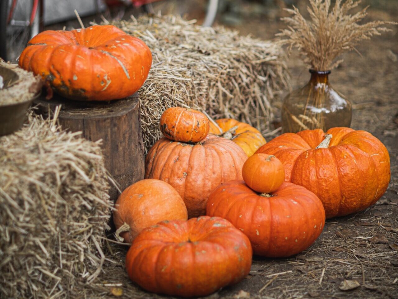 Pumpkins on hay bale