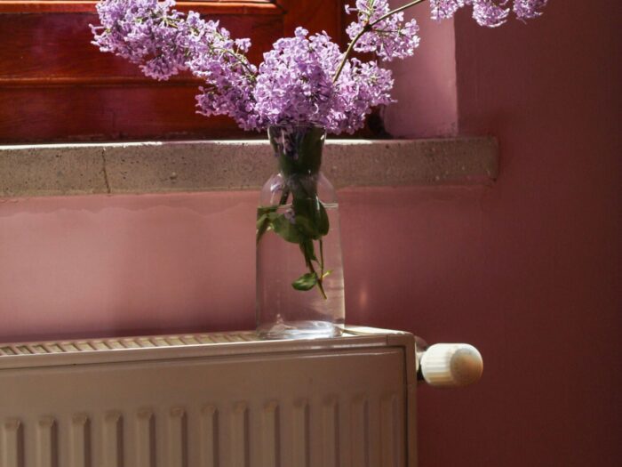 Vase of flowers on a radiator