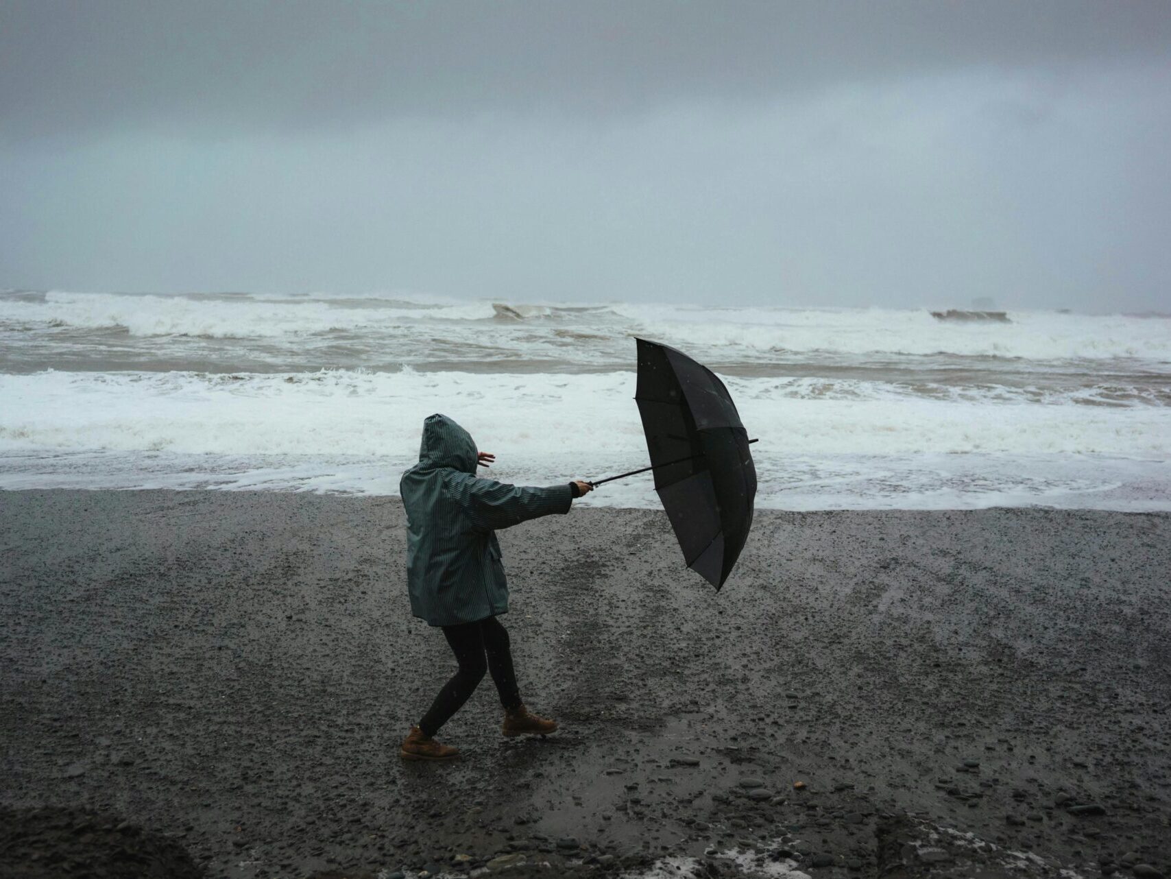 How to protect your garden during storms