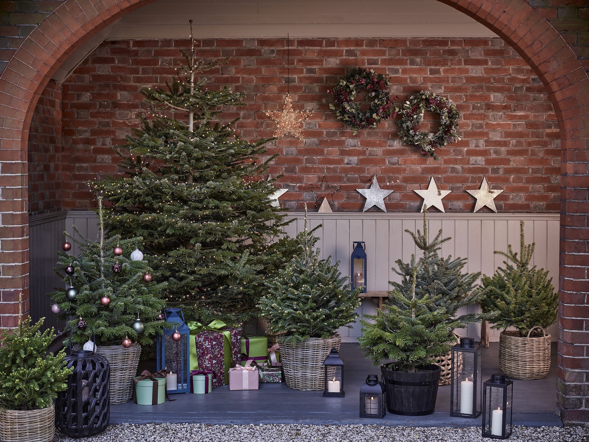 Collection of real Christmas trees from Dobbies in front of brick porch