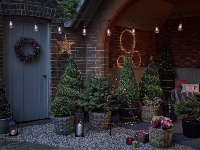 Collection of real Christmas trees potted next to front door