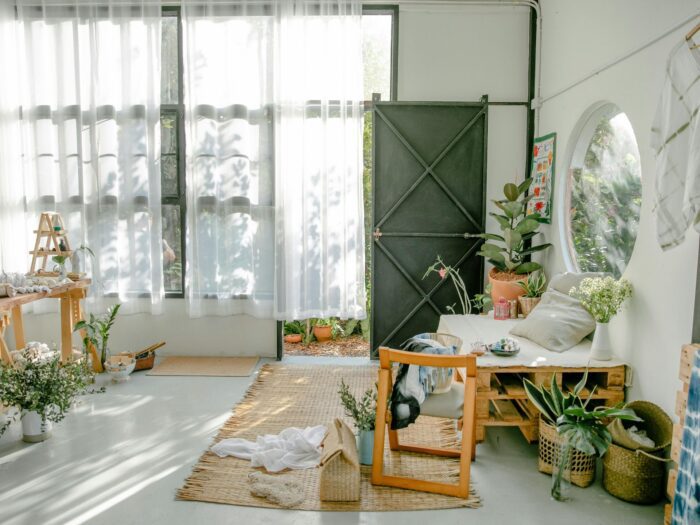 Plants in a bedroom space