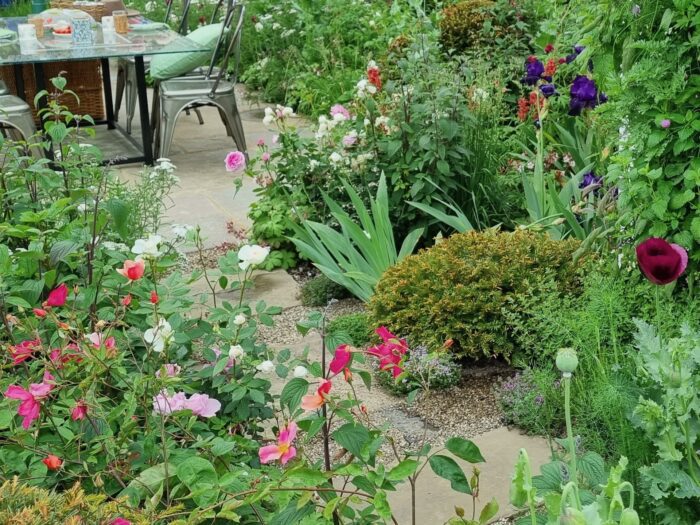 Garden path through shrubs and pink and white flowers