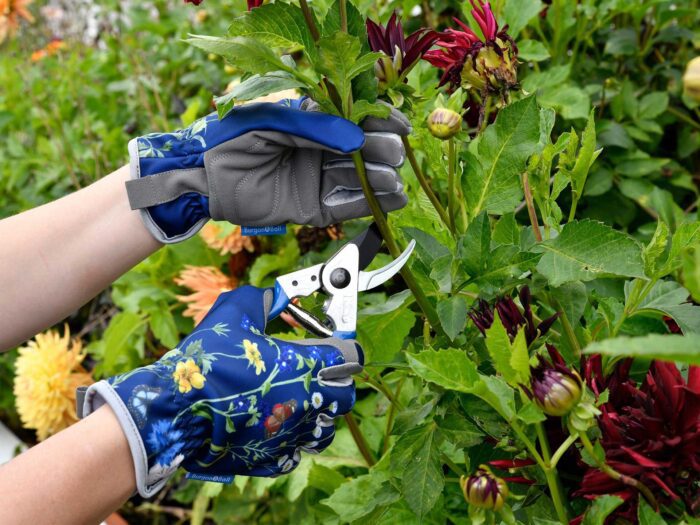 Keenly prune your plants to help them flourish