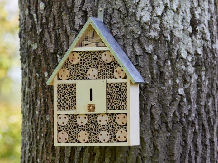 Create a haven for wildlife in your garden
