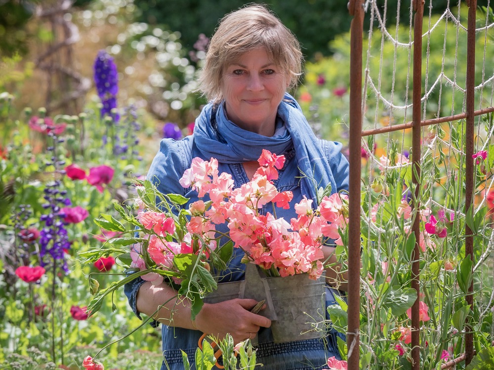 Sarah Raven picking sweet peas in garden