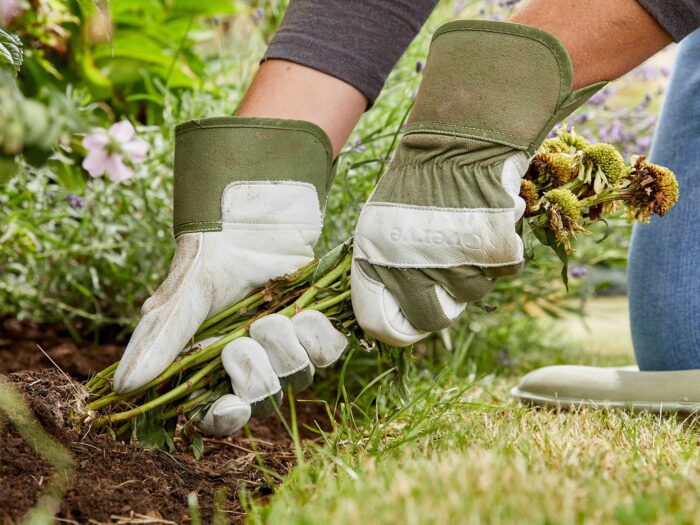 As the sun comes out in spring, you'll need to up your weeding