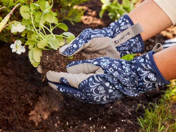 Spring is the perfect time to plant in your garden