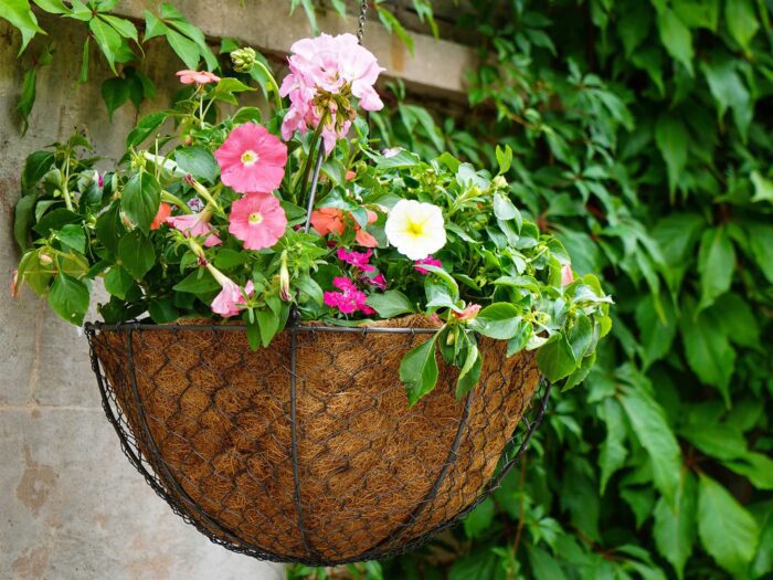 Try an outdoor hanging wired netted basket