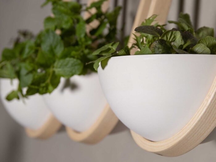 Tom Raffield's ceramic bowls are perfect for herbs