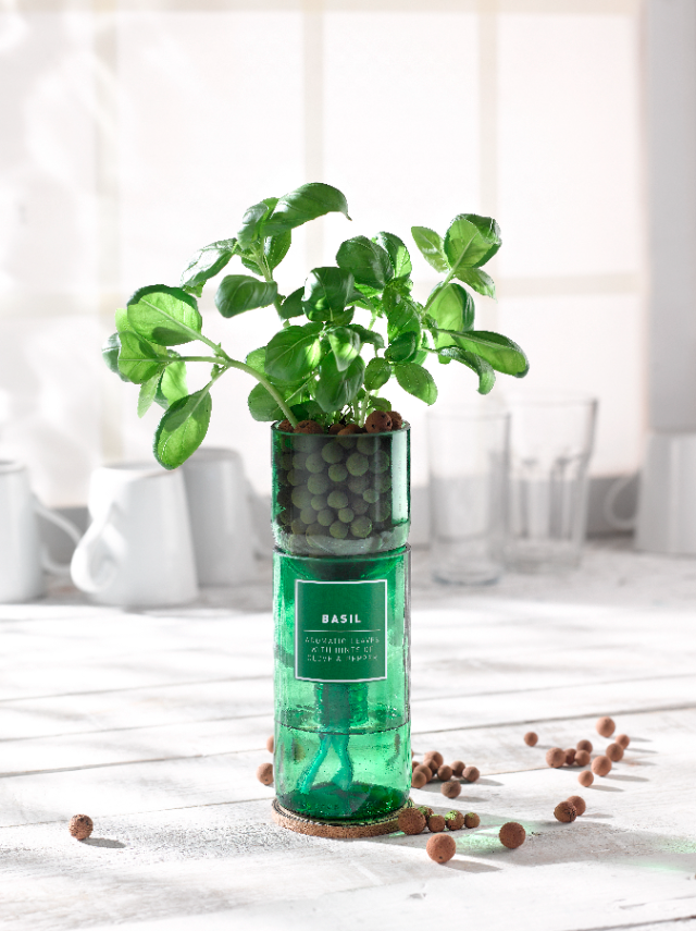 Hydrio herb plant kit on white flooring 